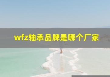 wfz轴承品牌是哪个厂家