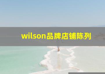 wilson品牌店铺陈列