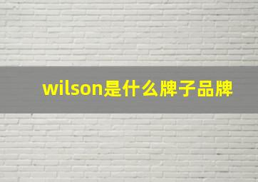 wilson是什么牌子品牌