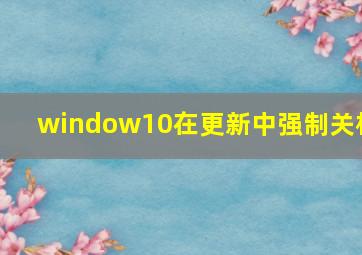 window10在更新中强制关机