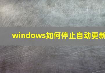 windows如何停止自动更新