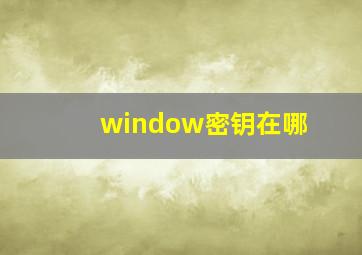 window密钥在哪