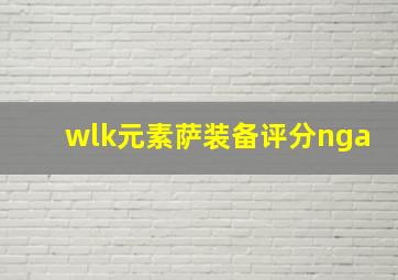 wlk元素萨装备评分nga