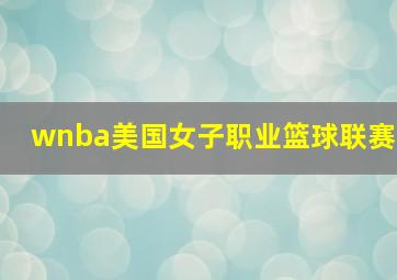 wnba美国女子职业篮球联赛