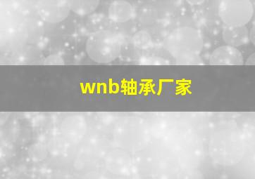 wnb轴承厂家