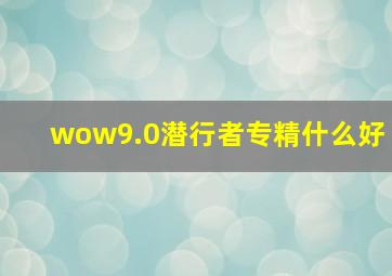 wow9.0潜行者专精什么好