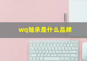 wq轴承是什么品牌