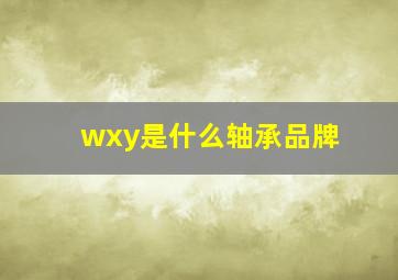 wxy是什么轴承品牌