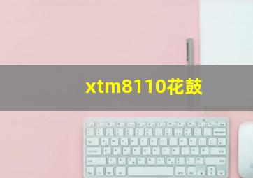 xtm8110花鼓