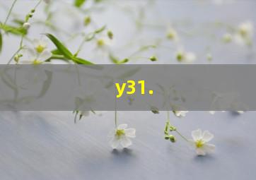 y31.