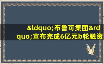 “布鲁可集团”宣布完成6亿元b轮融资