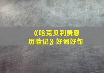 《哈克贝利费恩历险记》好词好句