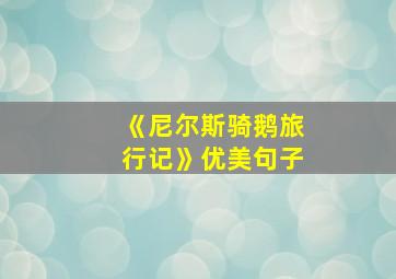 《尼尔斯骑鹅旅行记》优美句子