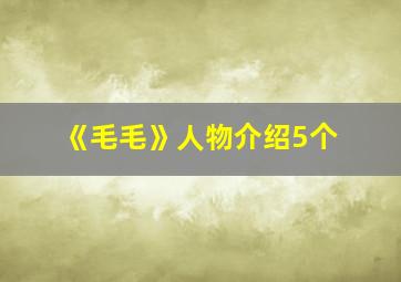 《毛毛》人物介绍5个