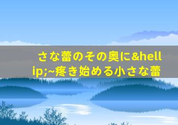 さな蕾のその奥に…~疼き始める小さな蕾