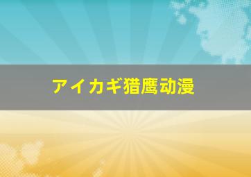 アイカギ猎鹰动漫