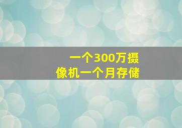 一个300万摄像机一个月存储