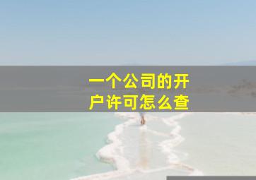 一个公司的开户许可怎么查