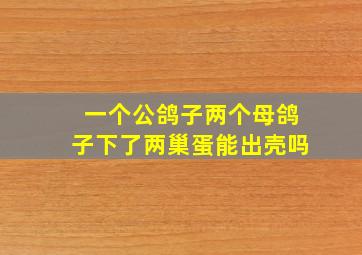 一个公鸽子两个母鸽子下了两巢蛋能出壳吗