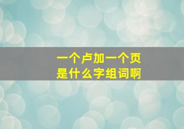 一个卢加一个页是什么字组词啊