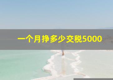 一个月挣多少交税5000