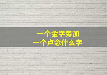 一个金字旁加一个卢念什么字