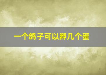 一个鸽子可以孵几个蛋