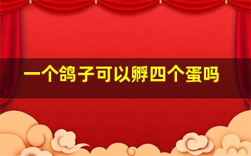 一个鸽子可以孵四个蛋吗