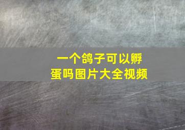 一个鸽子可以孵蛋吗图片大全视频