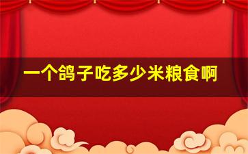 一个鸽子吃多少米粮食啊