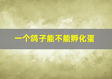 一个鸽子能不能孵化蛋