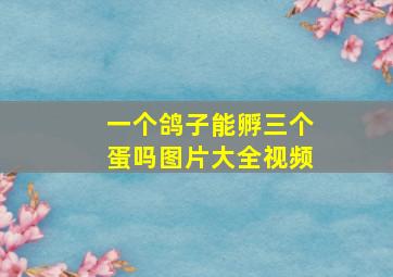 一个鸽子能孵三个蛋吗图片大全视频