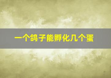 一个鸽子能孵化几个蛋