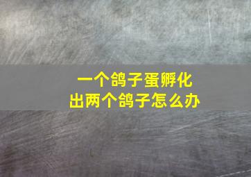 一个鸽子蛋孵化出两个鸽子怎么办