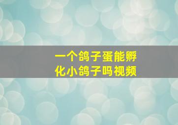 一个鸽子蛋能孵化小鸽子吗视频