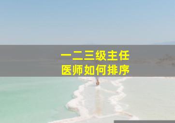 一二三级主任医师如何排序