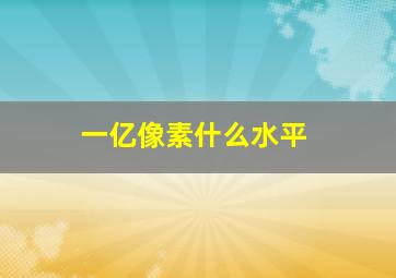 一亿像素什么水平