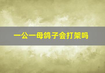 一公一母鸽子会打架吗