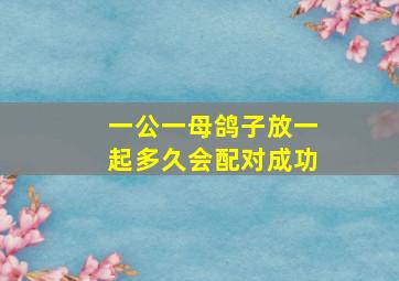 一公一母鸽子放一起多久会配对成功