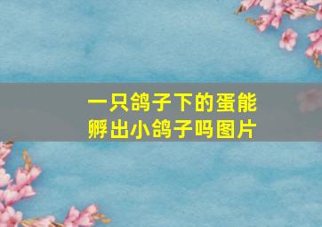 一只鸽子下的蛋能孵出小鸽子吗图片