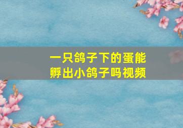 一只鸽子下的蛋能孵出小鸽子吗视频