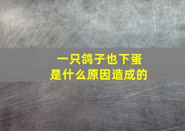 一只鸽子也下蛋是什么原因造成的