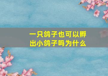 一只鸽子也可以孵出小鸽子吗为什么