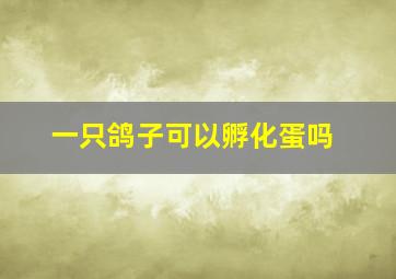 一只鸽子可以孵化蛋吗