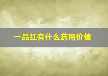 一品红有什么药用价值