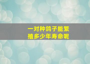 一对种鸽子能繁殖多少年寿命呢