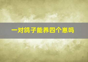 一对鸽子能养四个崽吗