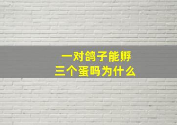 一对鸽子能孵三个蛋吗为什么