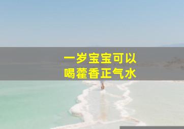 一岁宝宝可以喝藿香正气水