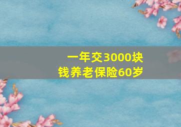 一年交3000块钱养老保险60岁